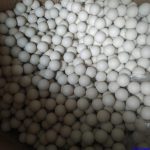 Bi sang rung thuc pham