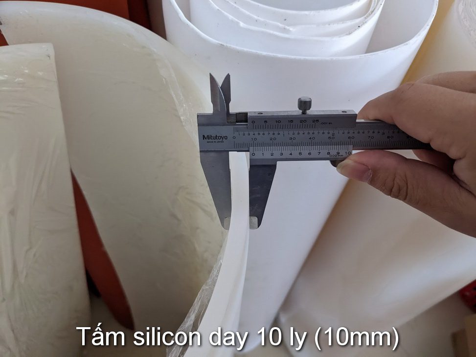 Tam silicon day 10 ly